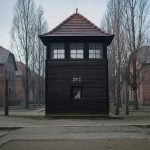 HOLOCAUST-MEMORIAL-AUSCHWITZ-SURVIVOR (2)