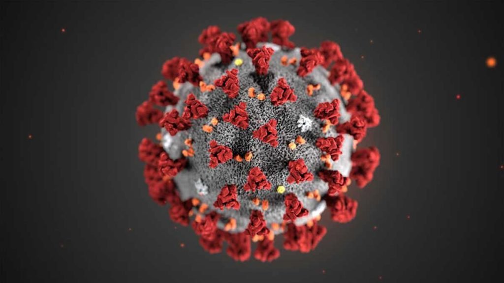 e8b73e3e an illustration created by the centers for disease control and prevention shows the structure of the coronavirus now named covid 19 1