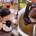 e92a4405-chinese-woman-eating-a-whole-bat-at-a-fancy-restaurant-as-scientists-link-the-deadly-coronavirus-to-bats-1