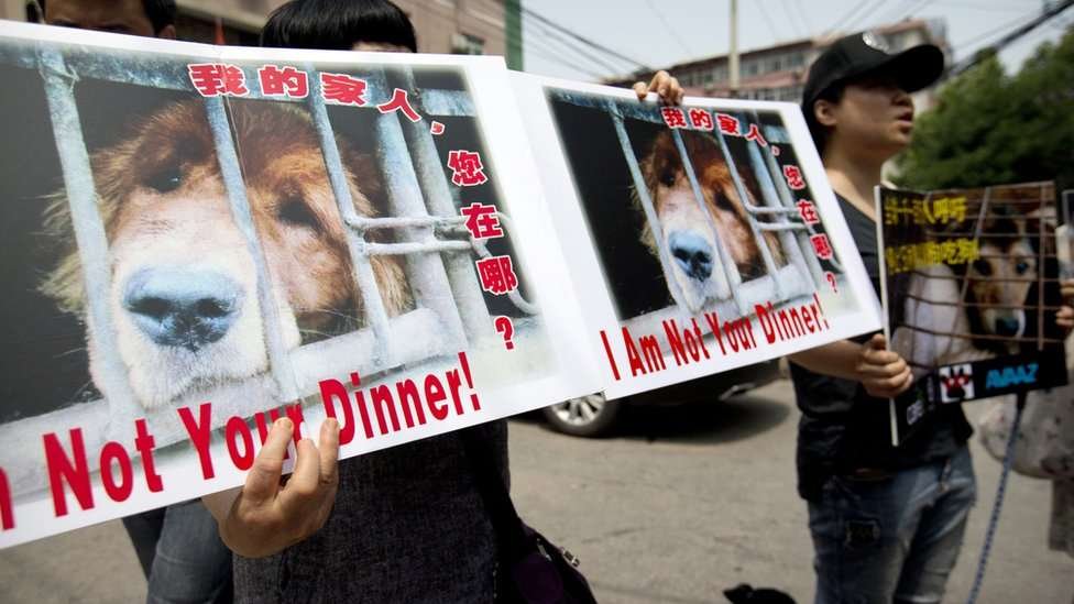 Protesters hold signs near the Yulin Dog Meat Festival