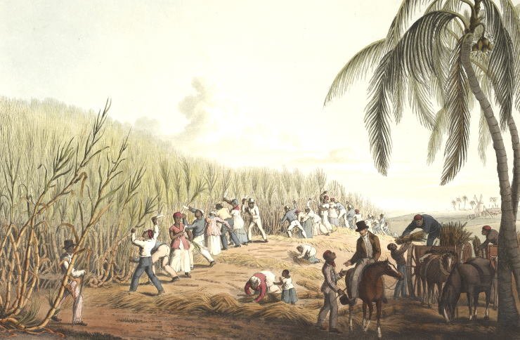 slaves sugar plantation