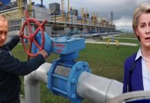 It’s the economy, stupid: German employers and unions unite to oppose EU Russian gas boycott