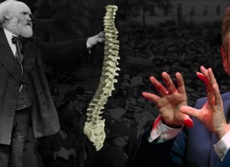 Union Leader Tells Keir Starmer To ‘Get A Spine’ And ‘Stick Up For’ Workers starmer-grow-a-spine