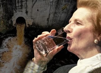 Nationalisation: If you are prepared to tolerate human sh*t on your beaches for the sake of corporate profit, you will tolerate anything. Thatcher privatisation