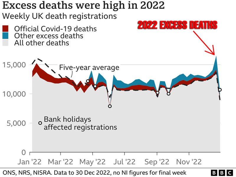 EXCESS DEATHS 2022