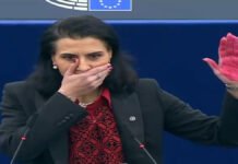 There are no more words to say on ‘Gaza’ Swedish MEP’s silent protest Swedish MEP Abir Al-Sahlani