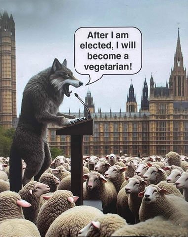 sheep elected